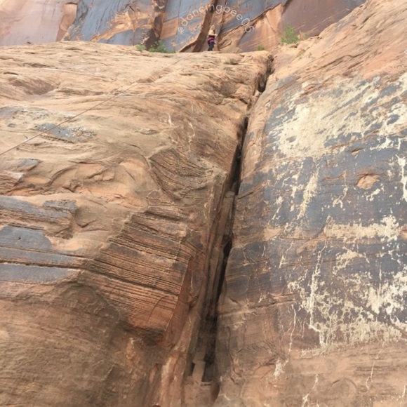 GOALS - Picture 2 of 13